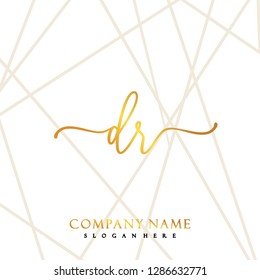 DR Initial Handwriting logo template vector