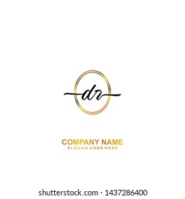 DR Initial handwriting logo template vector
