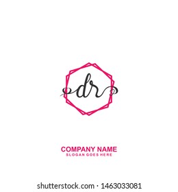 DR Initial handwriting logo vector