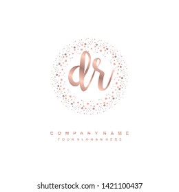 DR initial signature logo. handwriting logo template vector,
