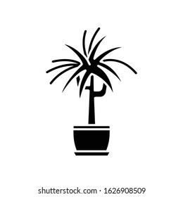 Dracaena black glyph icon. Potted ornamental houseplant. Dragon tree. Green indoor plant with spiky leaves. Natural home, office decor. Silhouette symbol on white space. Vector isolated illustration