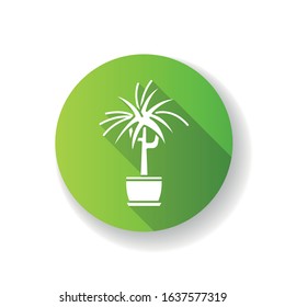 Dracaena green flat design long shadow glyph icon. Potted ornamental houseplant. Dragon tree. Green indoor plant with spiky leaves. Natural home, office decor. Silhouette RGB color illustration