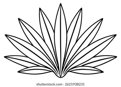 Dracaena leaf line art illustration botanical art design  