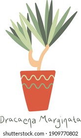 Dracaena Marginata. House plant in a clay pot. Home gardening. Hand drawn vector illustration in simple hygge style. Perfect for poster, sticker, print, card