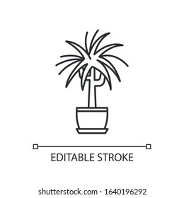 Dracaena pixel perfect linear icon. Potted houseplant. Dragon tree. Plant with spiky leaves. Thin line customizable illustration. Contour symbol. Vector isolated outline drawing. Editable stroke