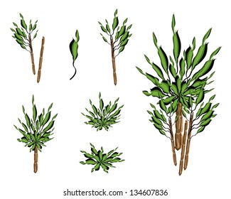 Dracaena Plant or Yucca Tree, An Illustration Collection of Tree Symbols or Isometric Trees and Plants for Garden Decoration