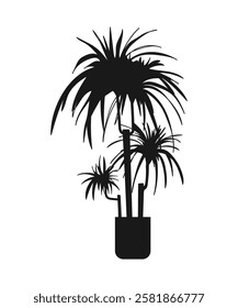 Dracaena. A potted houseplant. Vector illustration. Silhouette of a plant