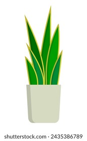 Dracaena trifasciata icon. Sansevieria trifasciata icon. Snake plant icon. Vector.