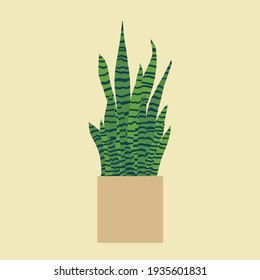 Dracaena trifasciata, is most commonly known as the snake plant, a popular decorative house plant native to tropical rainforest. Vector illustration.