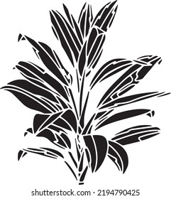 
Dracaena Vector Stencil, black and white