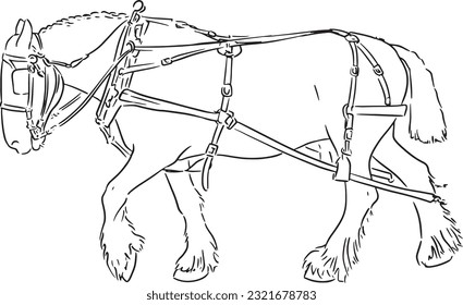 Borrador de trabajo de Caballo Clydesdale con lápiz blanco y negro fuerte ilustración de dibujos de tinta arte vectorial