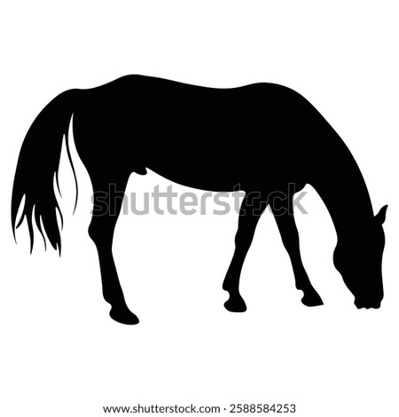 Draft Horse Silhouette Vector, Shire Horse Black Clipart