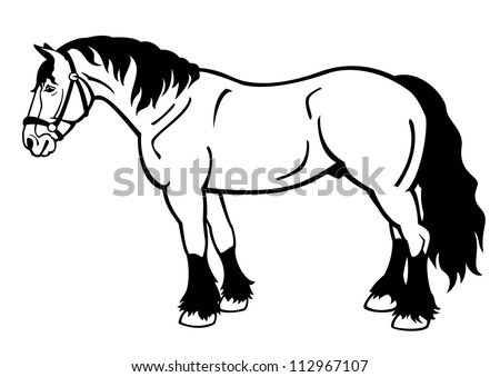  draft horse,black and white vector illustration,side view image isolated on white background