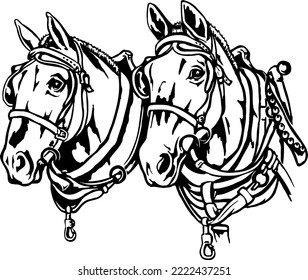 Draft Horses in Harness Vector Illustration