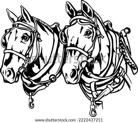 Draft Horses in Harness Vector Illustration