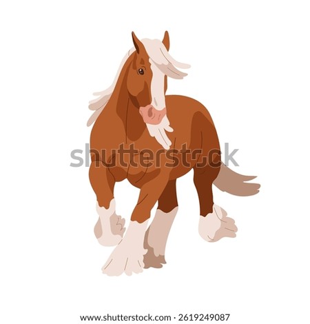 Draft work horse, heavy cob. Strong muscular equine animal, thoroughbred stallion in motion, movement. Powerful beautiful breed with feathering. Flat vector illustration isolated on white background