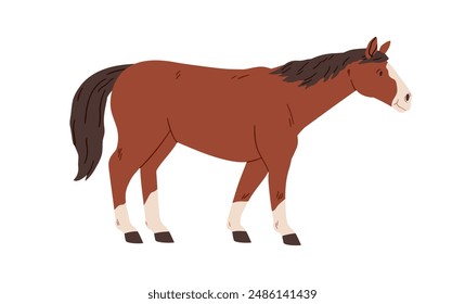 Draft work horse, side view. Farm stallion standing pose. Domestic animal, steed profile. Country agriculture breed, livestock wit tail and mane. Flat vector illustration isolated on white background