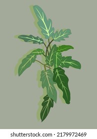 Draft Xanadu on green background vector