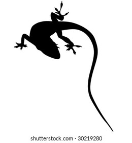 Dragon black vector black silhouette.