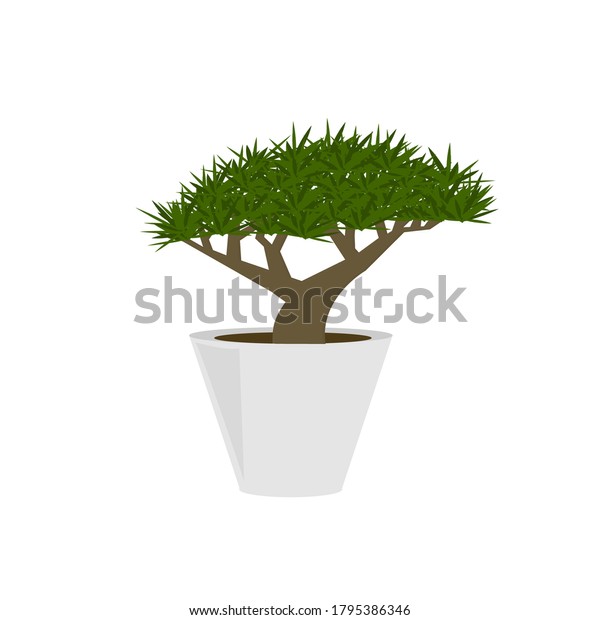 dragon blood tree background clipart