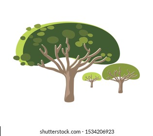 Dragon blood tree vector cartoon set design elements California