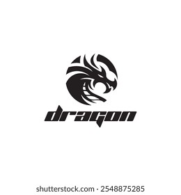 Dragon character vector illustration logo on White Background