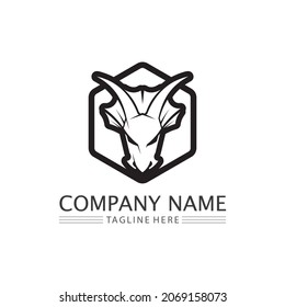 Dragon design logo vector icon illustration design logo template fantasy animals