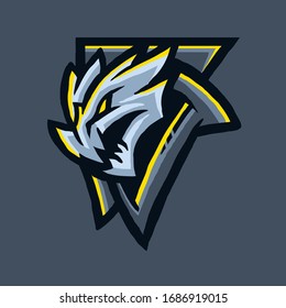 Dragon e sport vector illustration
