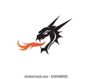 Dragon Fire logo and symbols