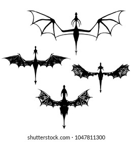 dragon, flies, shadow, illustration vector set