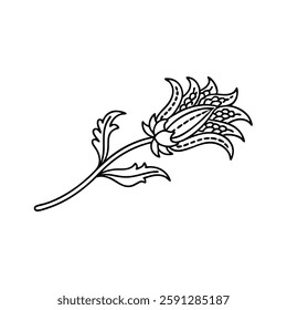Dragon flower Hand drawn line art flat vector illustration
