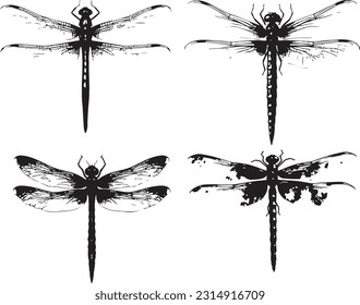 Imágenes de fondo blanco de animales de la mosca del dragón