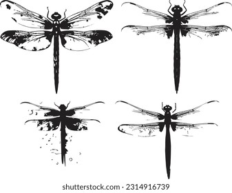 Dragon fly animal white background images