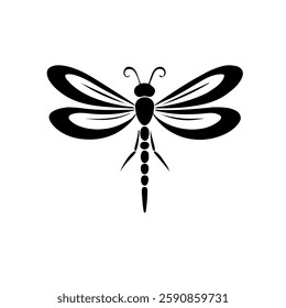 Dragon Fly, isolated on white background