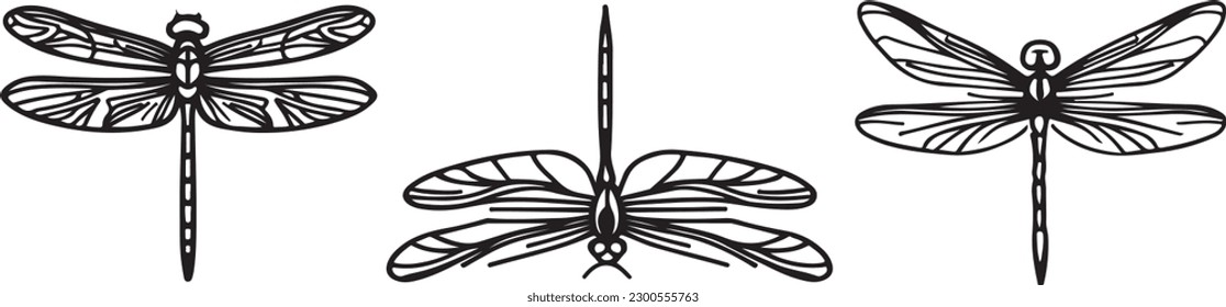 Dragon fly line art vector art silhoutte