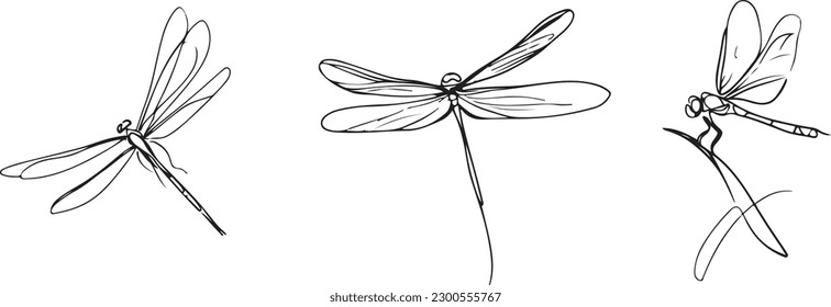 Dragon fly line art vector art silhoutte