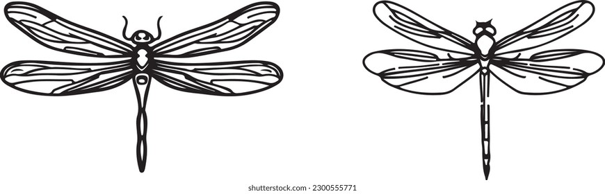 Dragon fly line art vector art silhoutte
