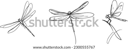 Dragon fly line art vector art silhoutte