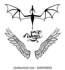 dragon flying, shadow,  illustration vector set wings, vector illustration