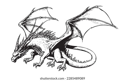 Dragon flying sketch illustration Myths and legends