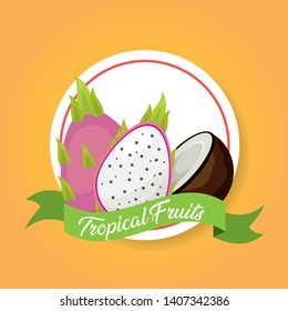 dragon fruit and coconut tropical fruits banner sticker vector illustration