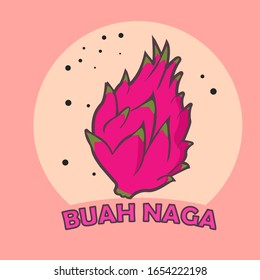dragon fruit conceptual design ilustration vector