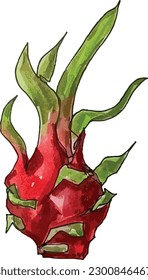 fruta de dragón en línea continua estilo de dibujo