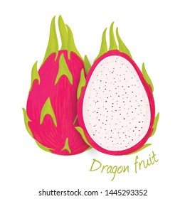 Dragon fruit doodle drawings vector illustration.