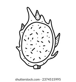 Dragon fruit doodle icon isolated on a white background. vector illustration