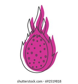 Dragon fruit in doodle style icons vector illustration for design and web isolated on white background. Dragon fruit vector object for labels and logo