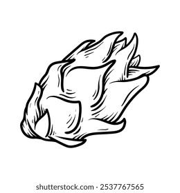 dragon fruit drawing coloring line art style sketch classic vintage design illustration