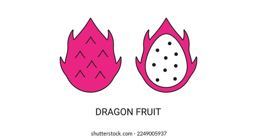 Dragon Fruit Exotic Fruit Icon Element for Web