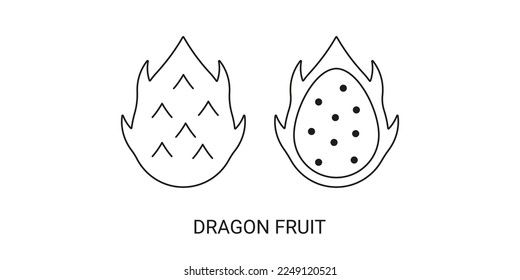 Dragon Fruit Exotic Fruit Icon Element for Web