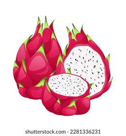 Dragon fruit. Exotic tropical fruit pitahaya.A whole fruit and half a pitahaya.Exotic, tropical fruits.Vector illustration.